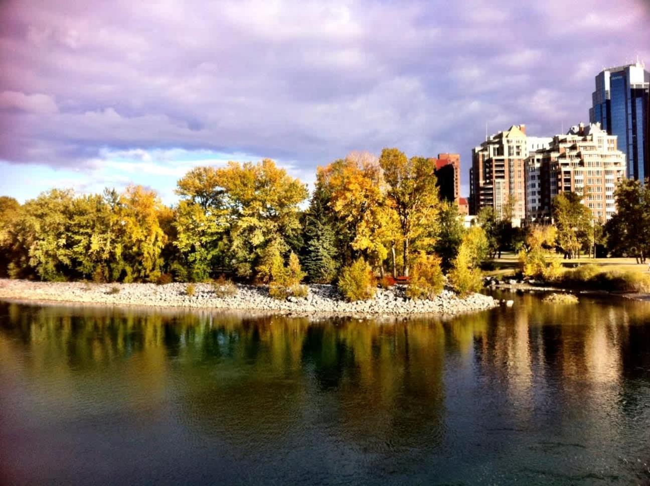 Holiday home Together! 2 Family Units, Sleeps 16! Free Banff Pass, Parking, Wine, Bbq, & Netflix! Calgary